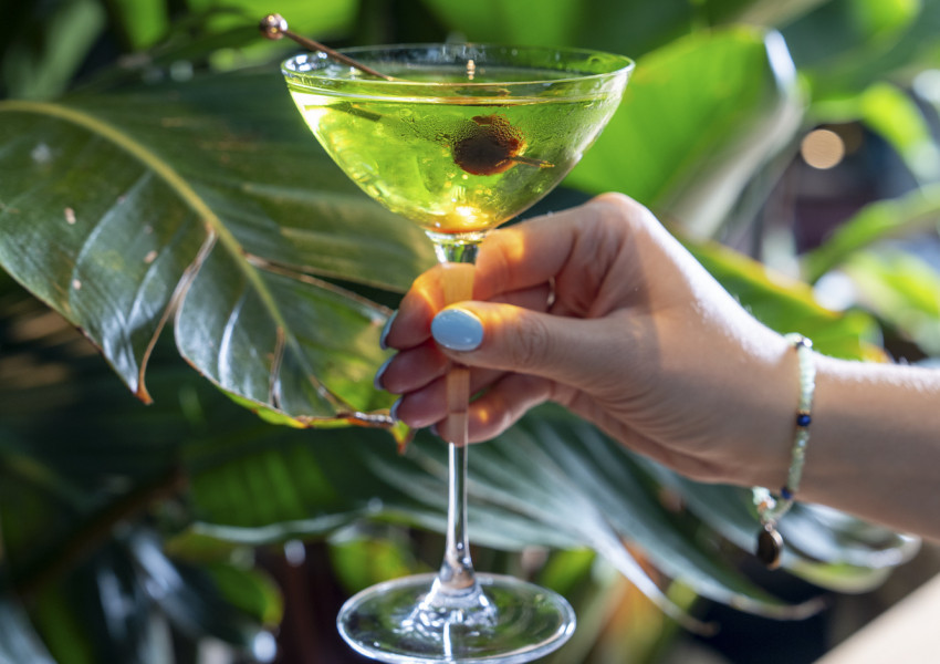 Eine Hand mit hellblauen Nägeln hält ein Martini-Glas mit einem grünen Getränk, im Hintergrund sind üppige grüne Blätter zu sehen.