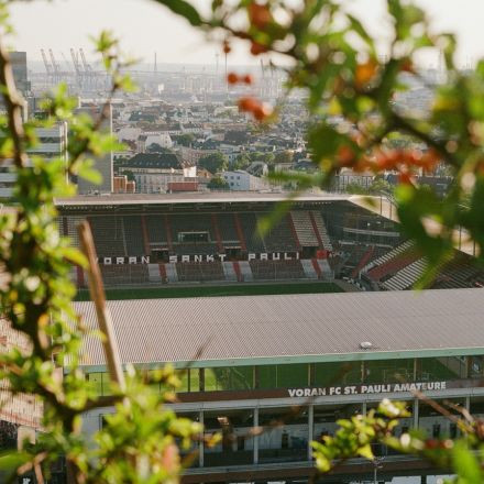 Blick auf das St. Pauli Fußballstadion in Hamburg, teilweise eingerahmt von Blättern und Ästen im Vordergrund.