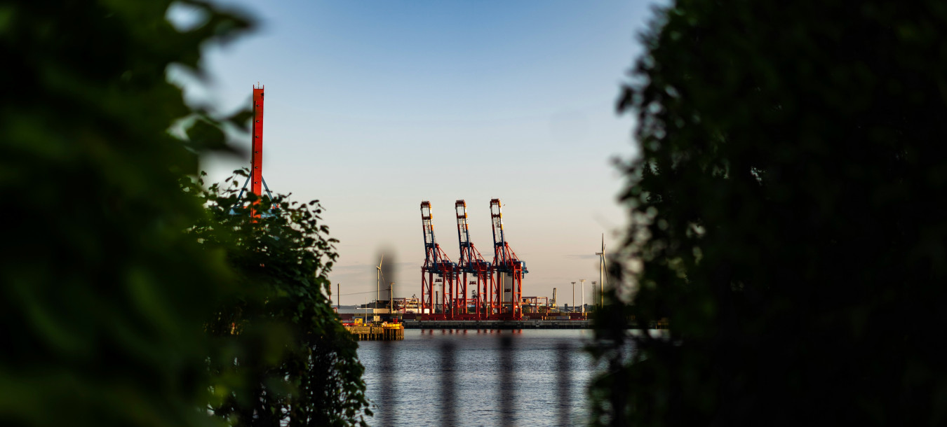 Ein Blick auf rote Kräne in einem Hafen auf der anderen Seite des Wassers, im Vordergrund beidseitig von grünem Laub eingerahmt.