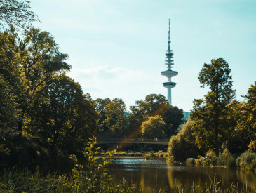 An einem sonnigen Tag mit klarem blauen Himmel erhebt sich ein hoher Sendeturm über den Bäumen neben einem ruhigen Teich.